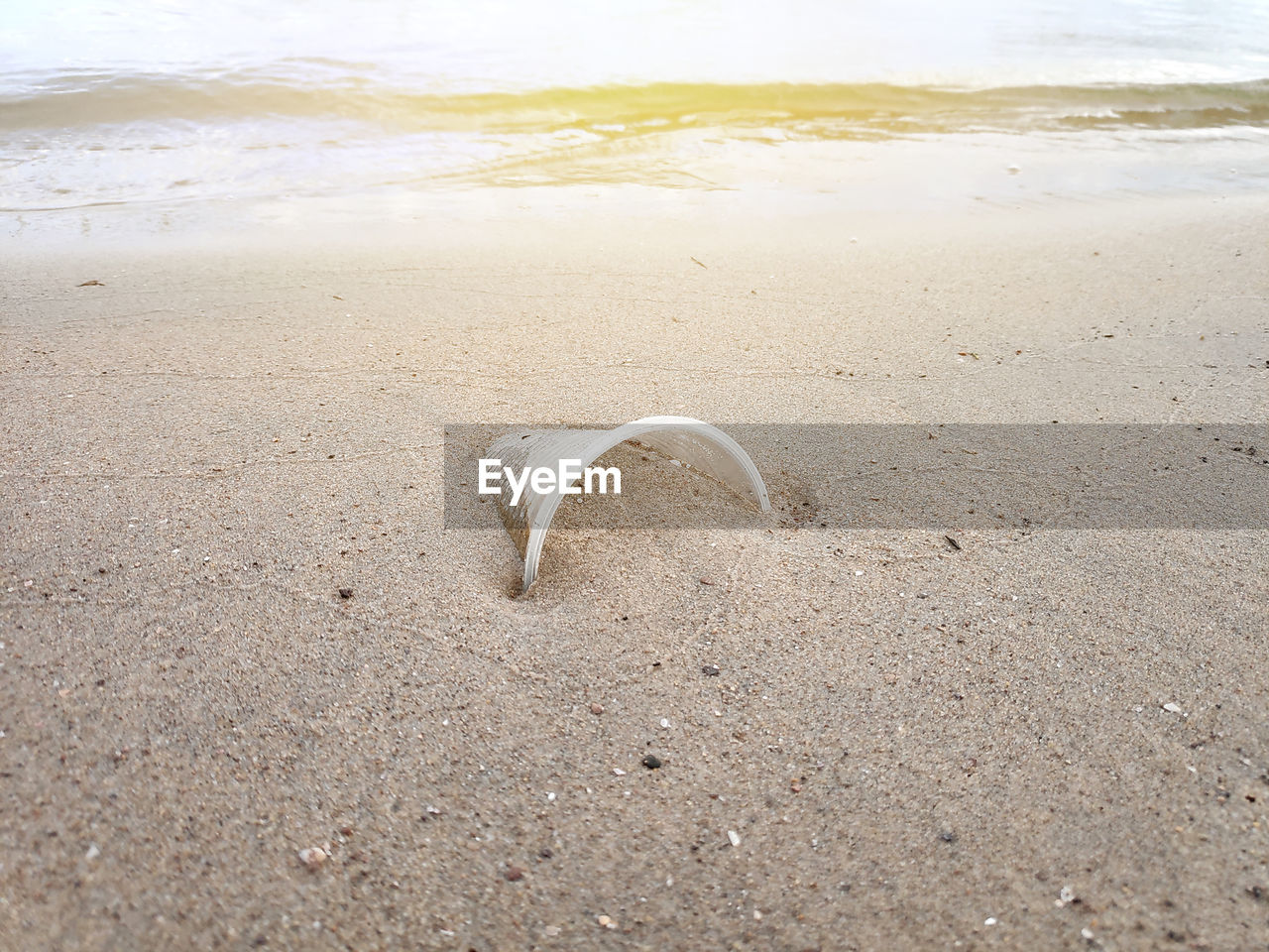 SHADOW OF A HORSE ON BEACH