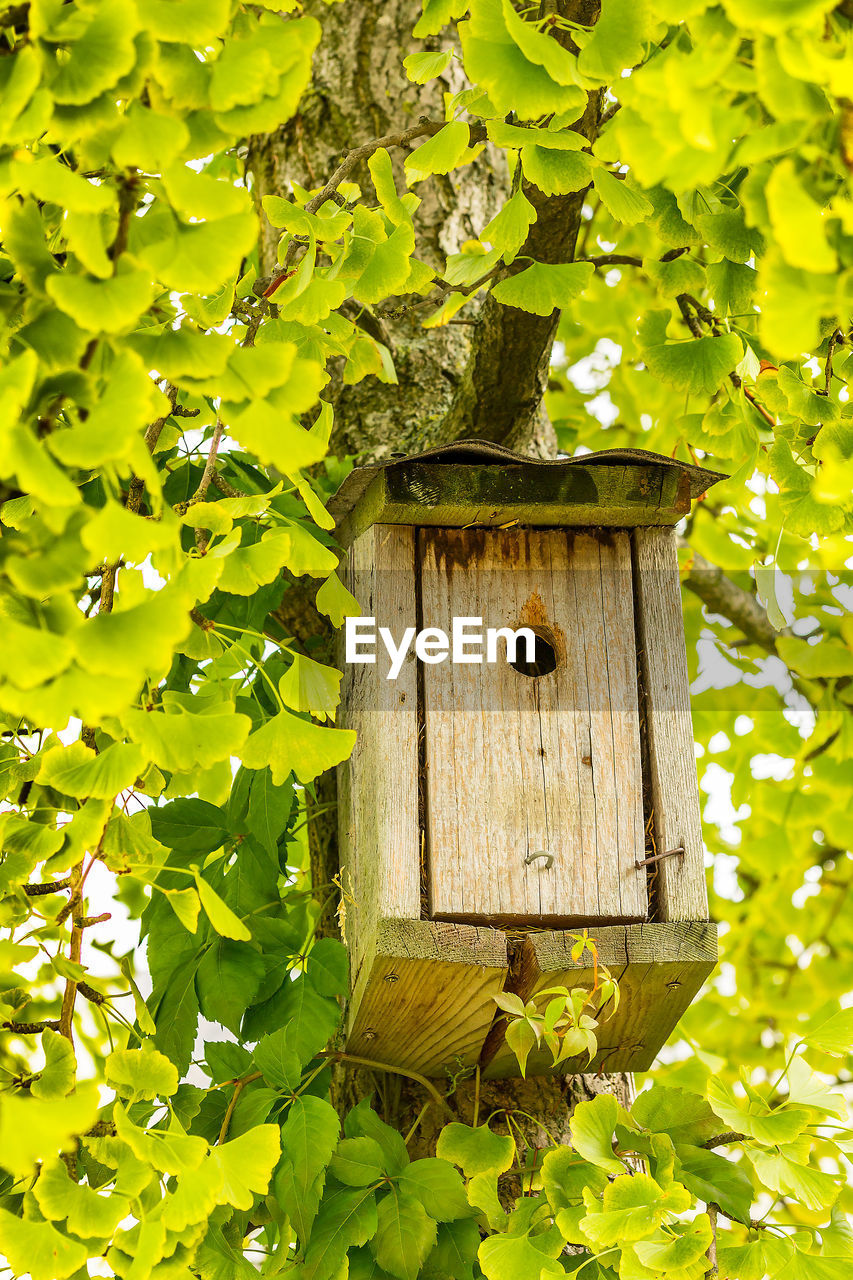 Low angle view of bird house amid plants