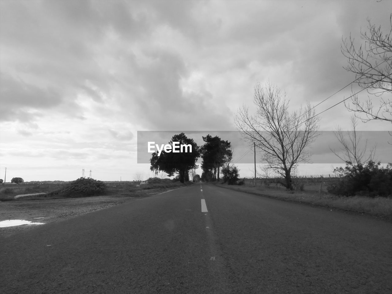 VIEW OF ROAD ALONG TREES AND LANDSCAPE