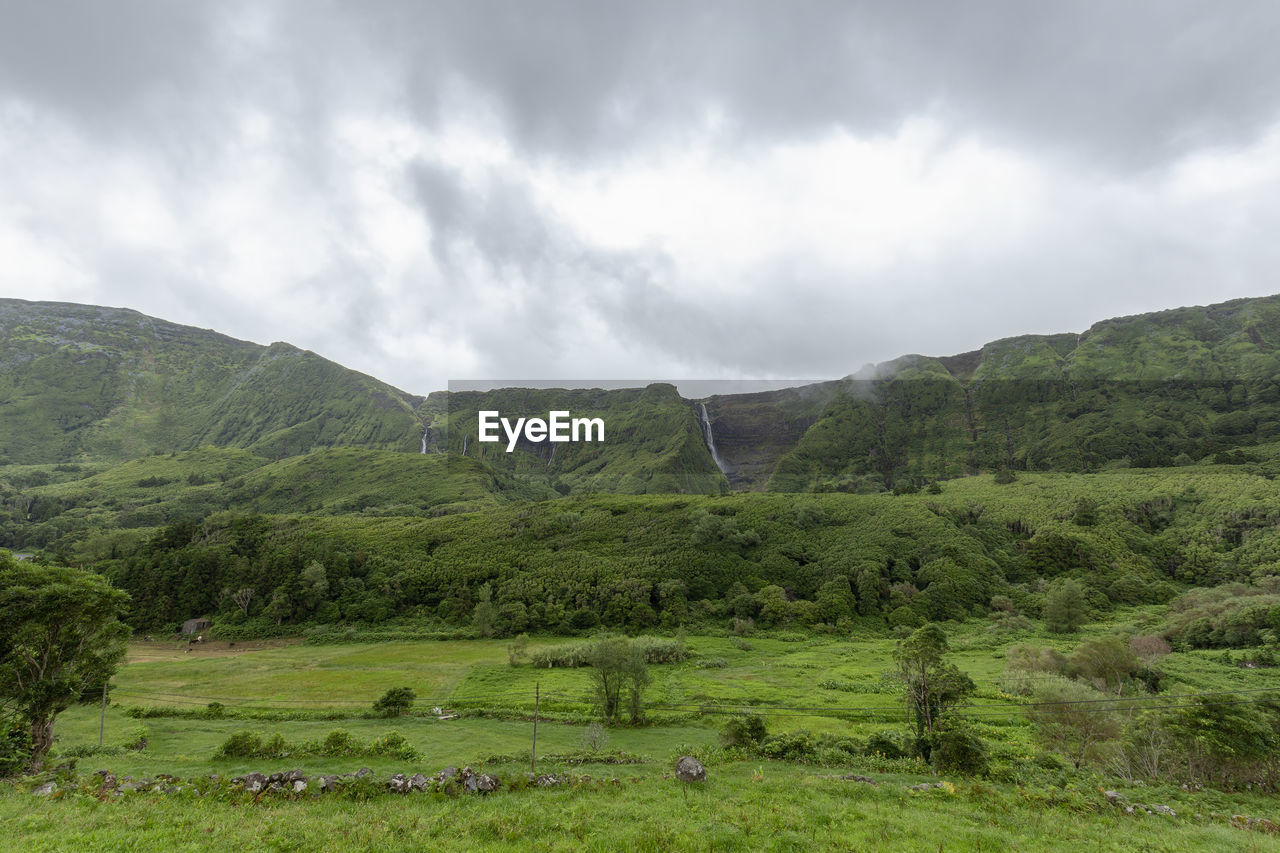 SCENIC VIEW OF GREEN LANDSCAPE AGAINST SKY