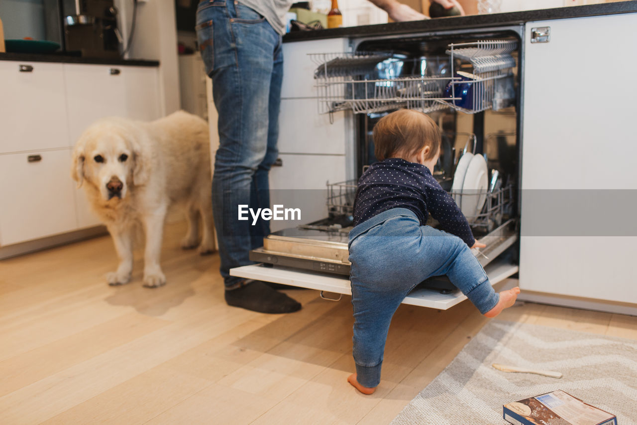 Toddler climbing into dishwasher