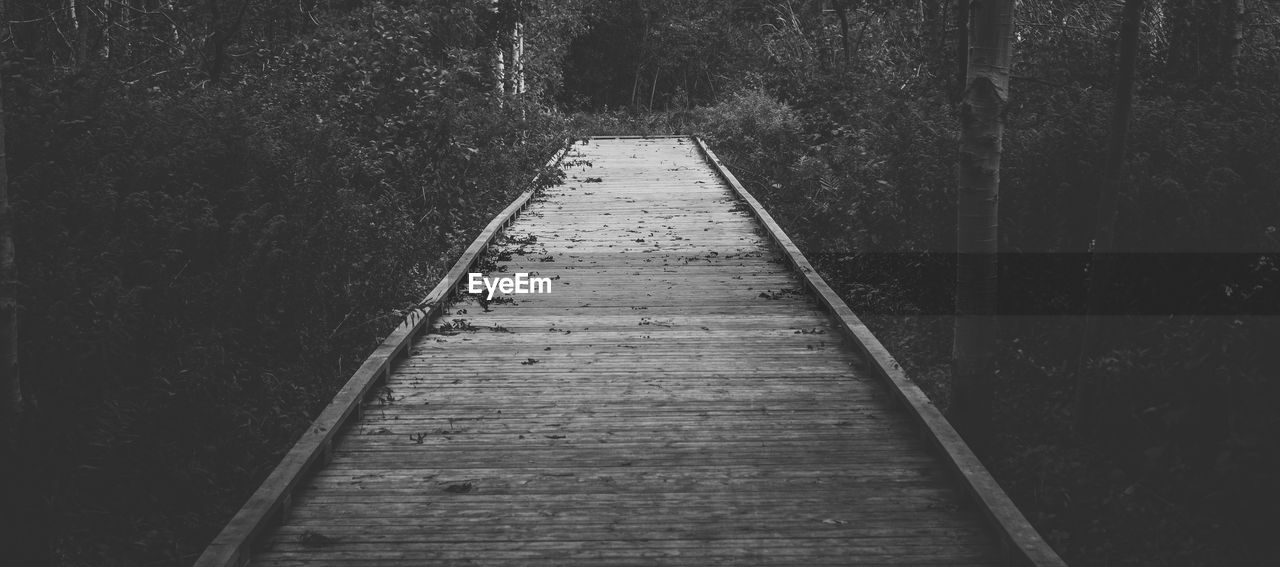 SURFACE LEVEL OF WOODEN PATHWAY ON BOARDWALK