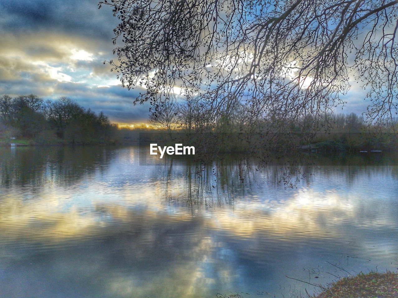 REFLECTION OF TREE IN LAKE AGAINST SKY