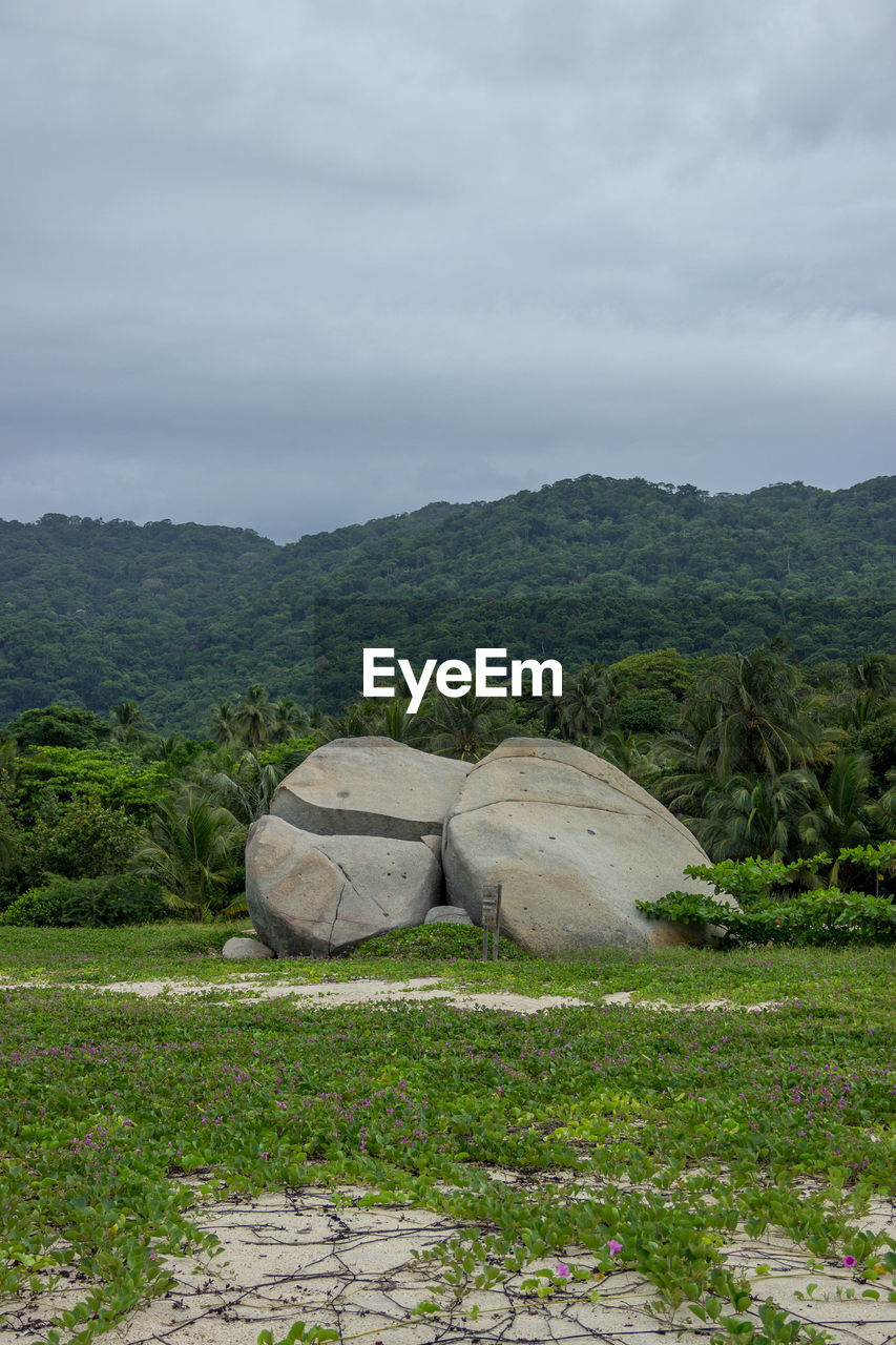 ROCKS ON FIELD AGAINST SKY