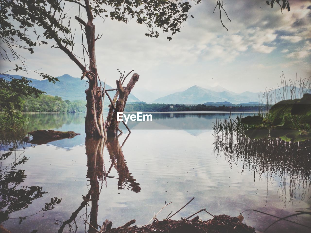 Scenic view of lake against sky