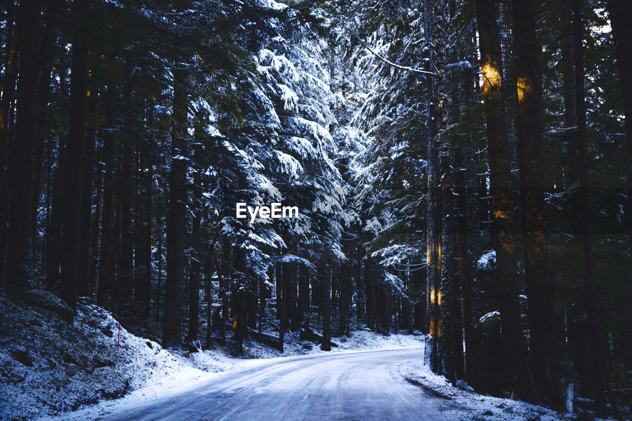 Mt. ranier, washington,  volacano, beauty in nature, mountain pass, december, seattle, ice, snow