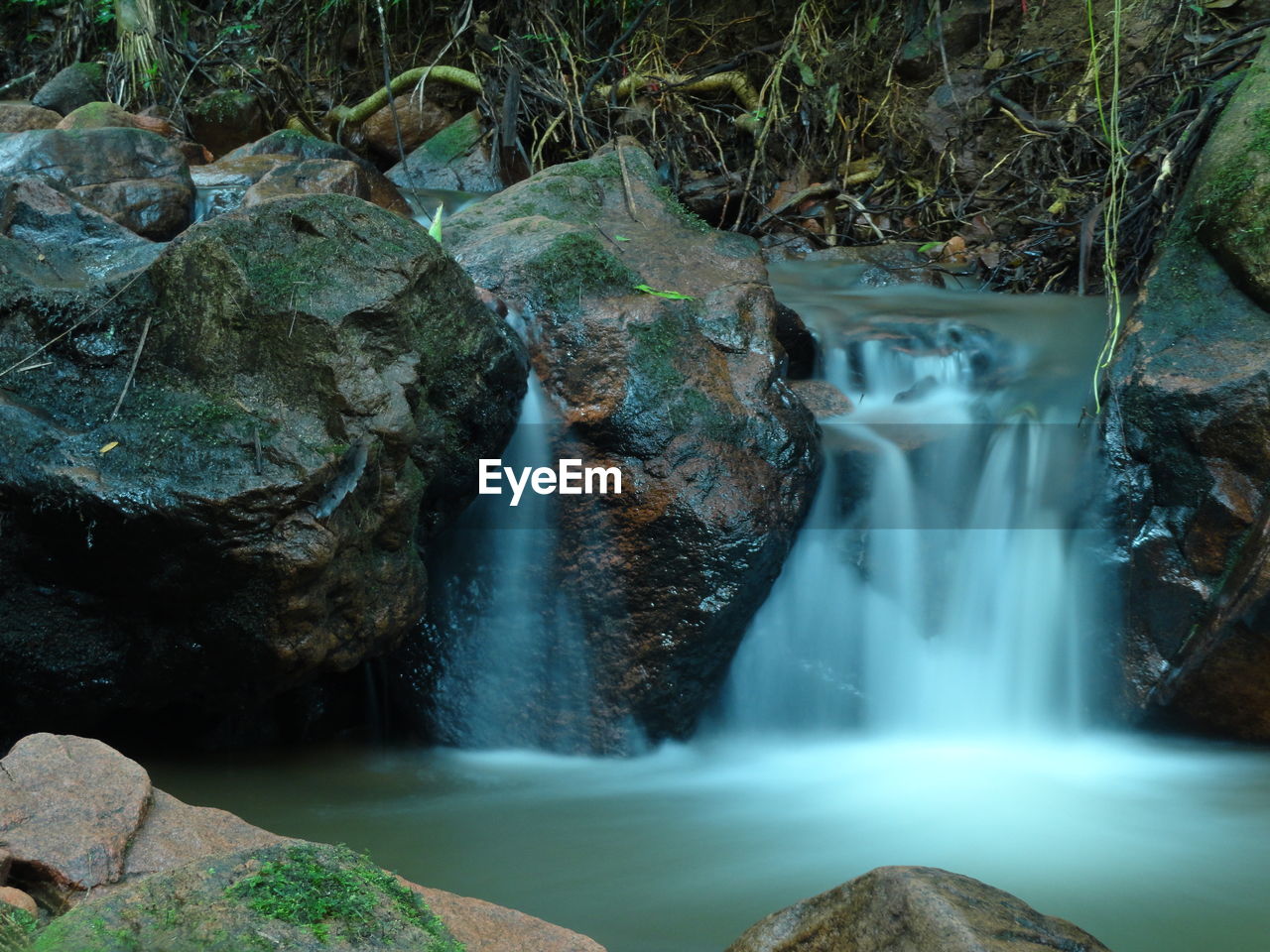 Close-up of waterfall in forest