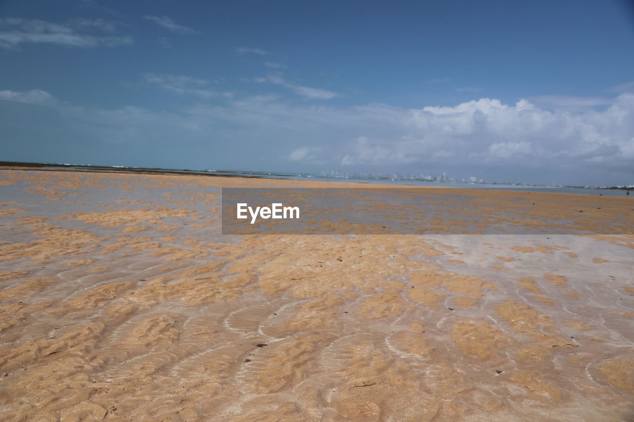 SURFACE LEVEL VIEW OF BEACH AGAINST SKY