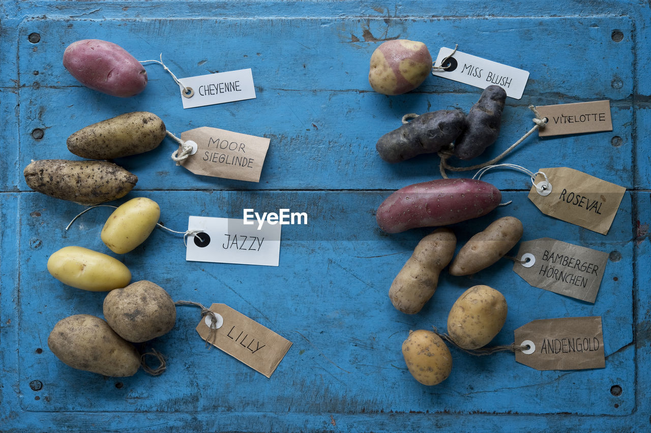 Studio shot of different variety of tagged potatoes lying on blue painted wooden surface