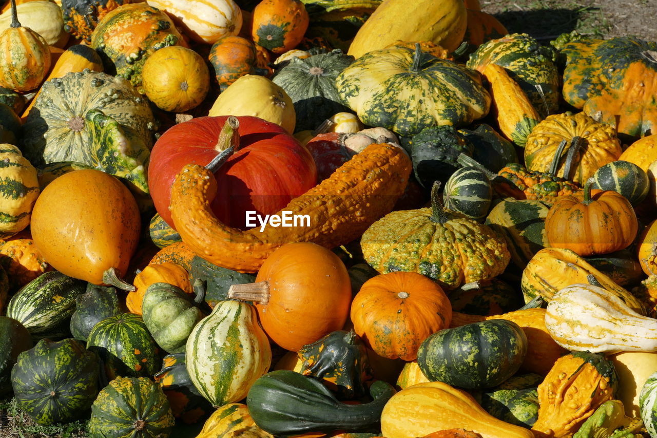 FULL FRAME SHOT OF PUMPKINS