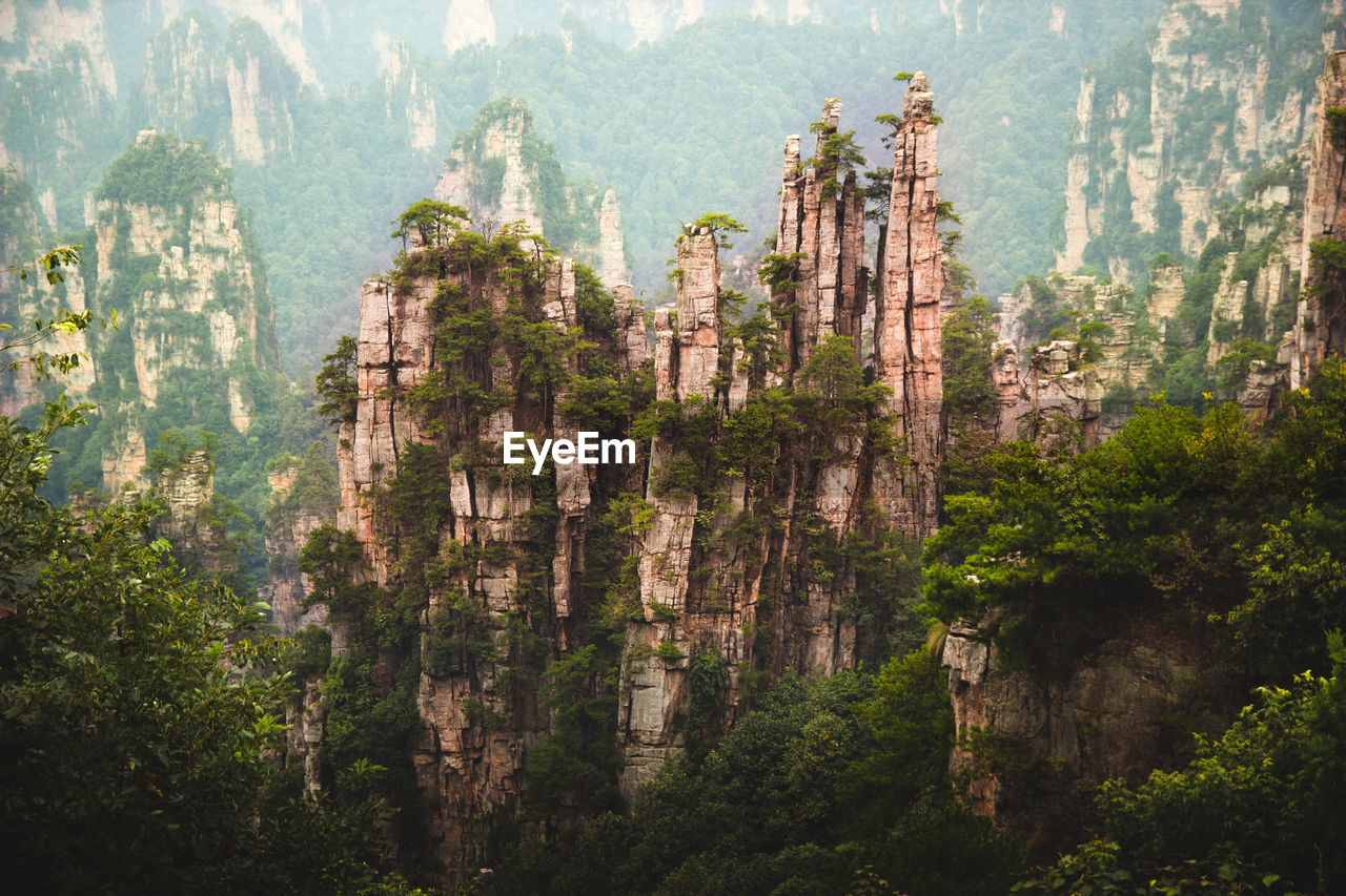 Tall cliffs overgrown with green tropical plants on foggy weather in zhangjiajie, spain