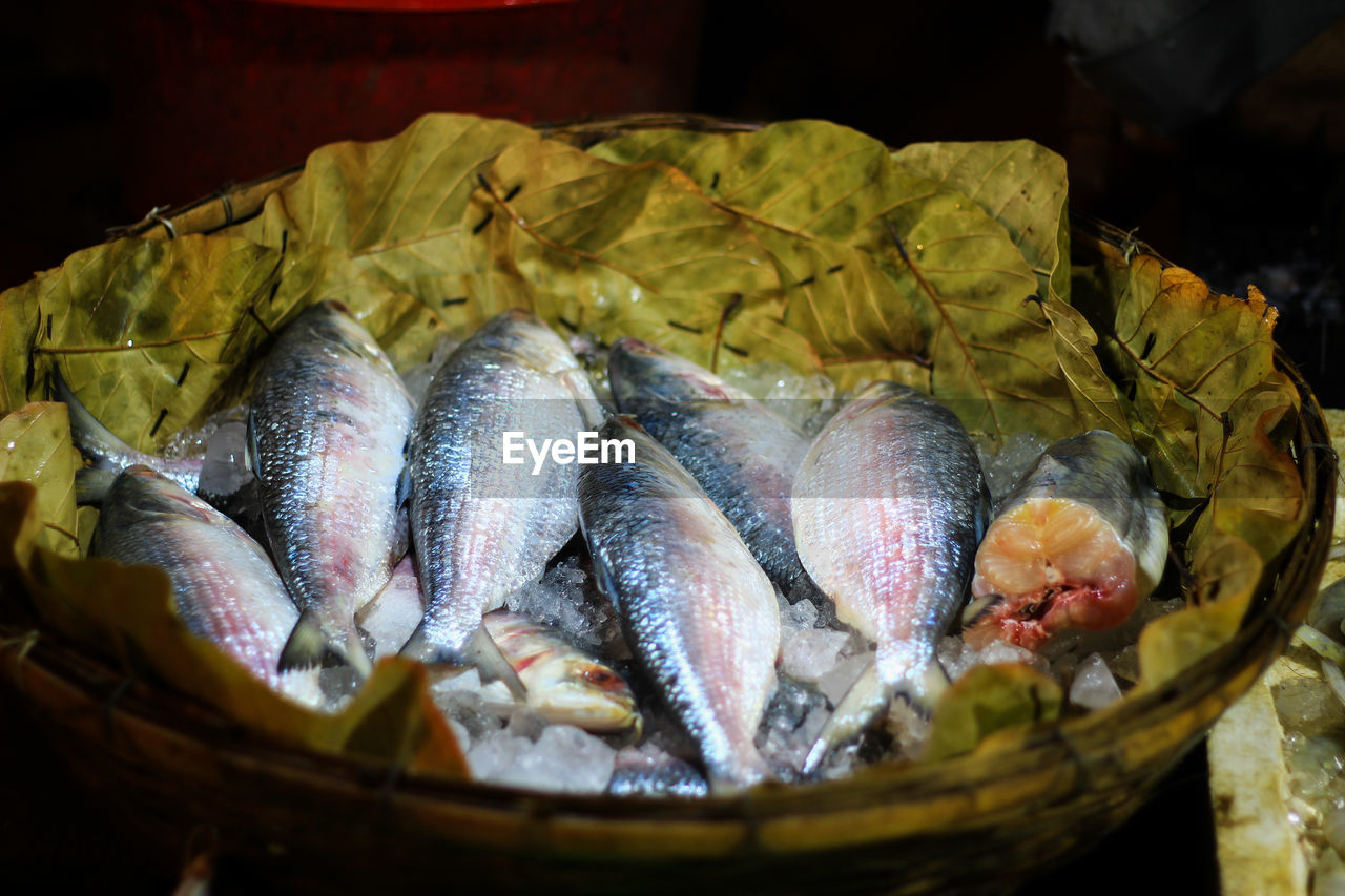 CLOSE-UP OF FISH FOR SALE IN BASKET