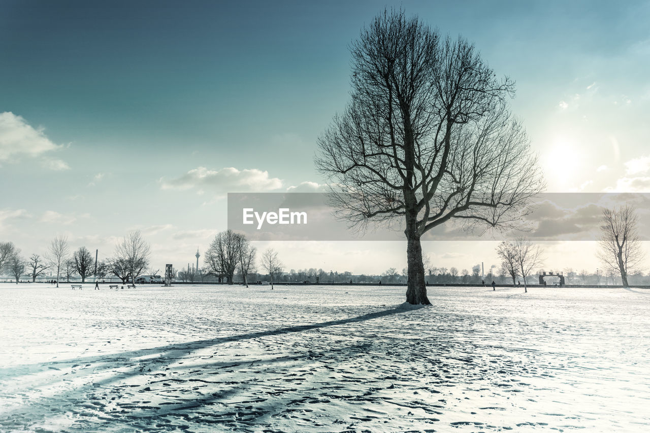 Winter view in düsseldorf