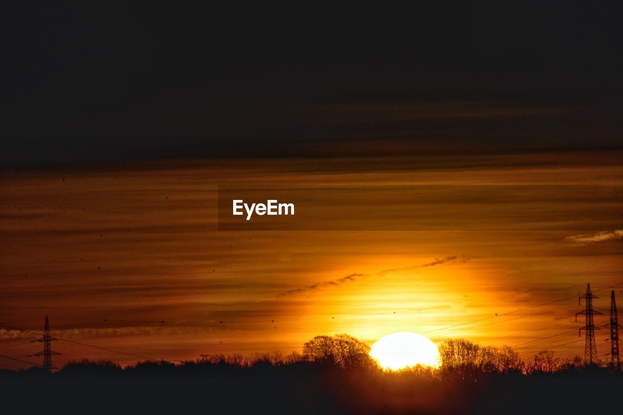 SILHOUETTE TREES AGAINST SKY DURING SUNSET