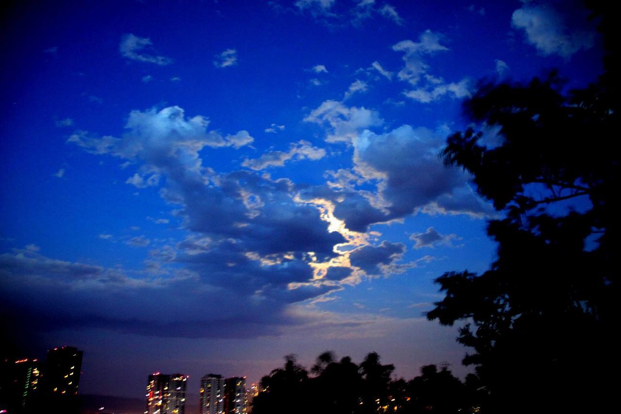 SILHOUETTE OF TREES AGAINST CLOUDY SKY