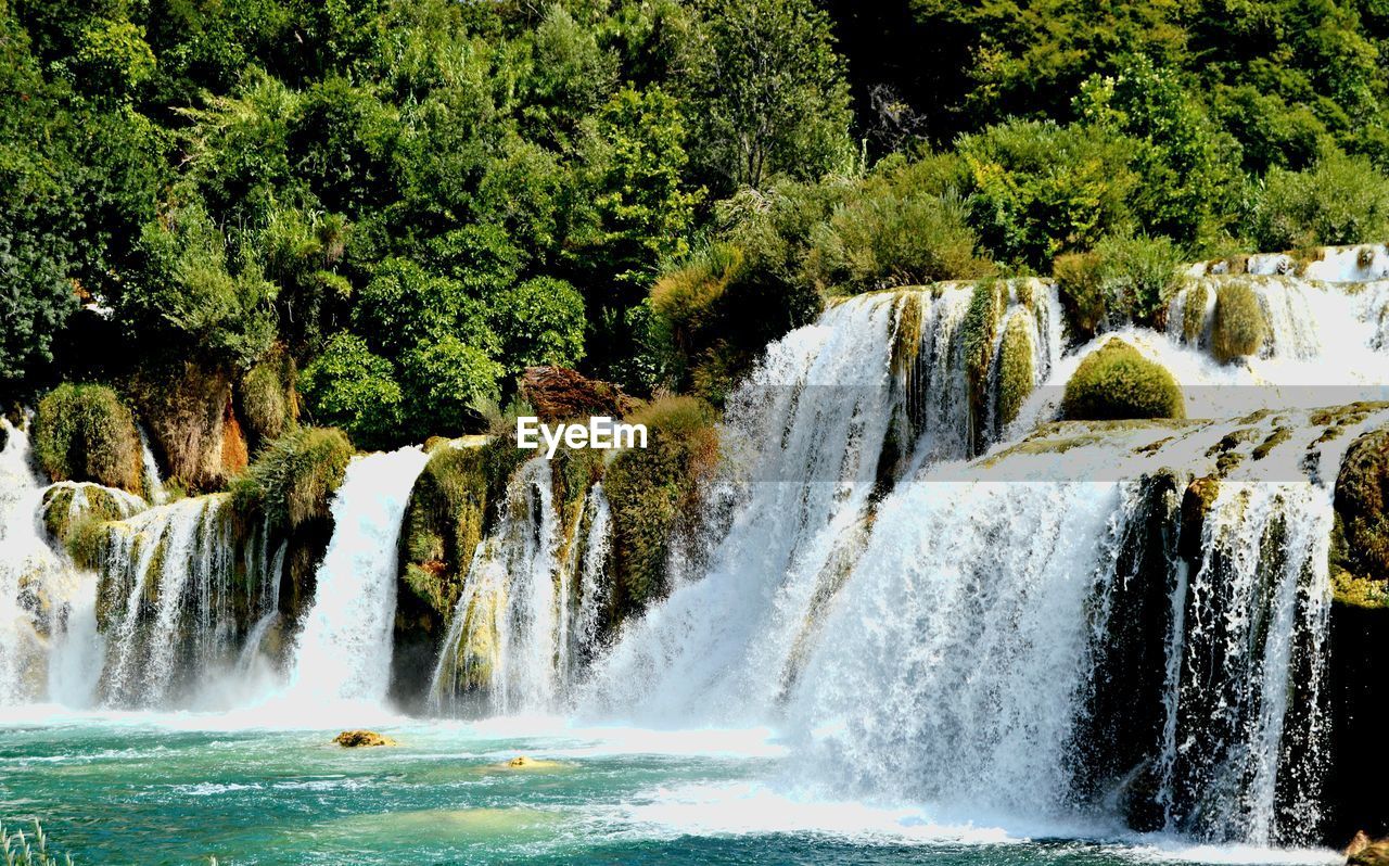 Scenic view of waterfall in forest