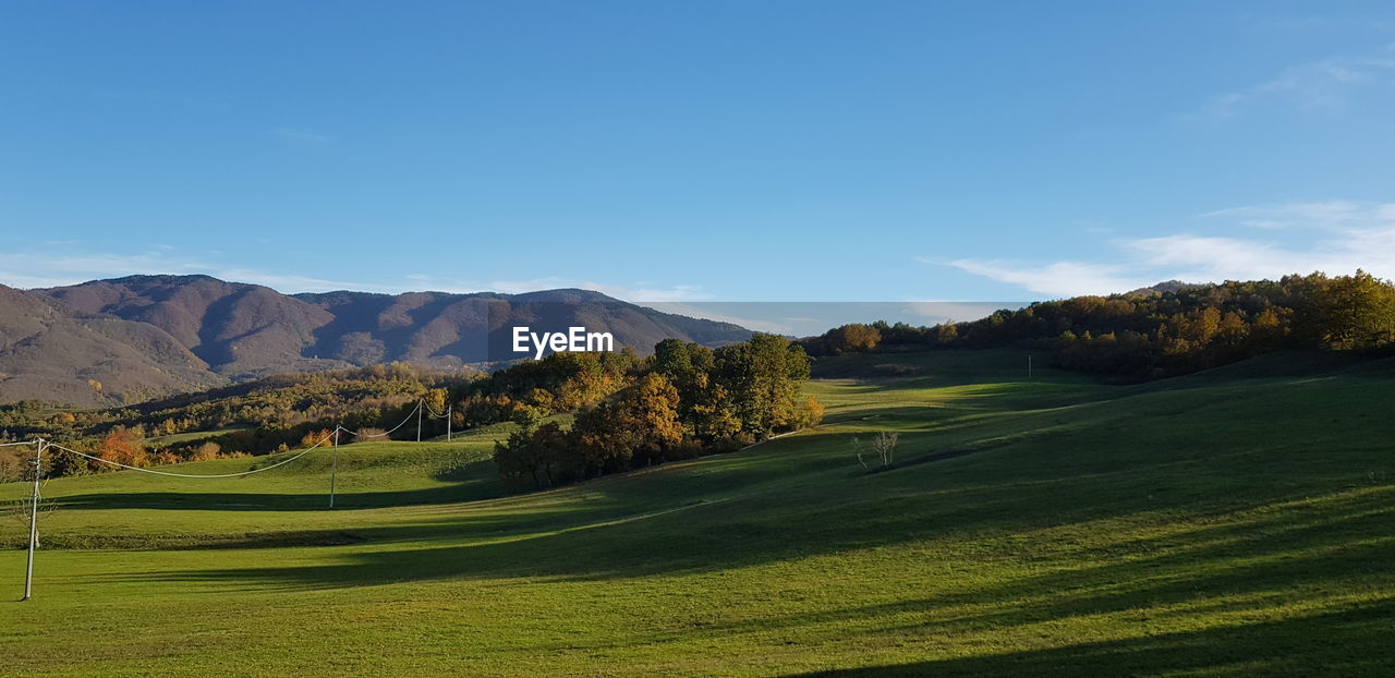 SCENIC VIEW OF GOLF COURSE