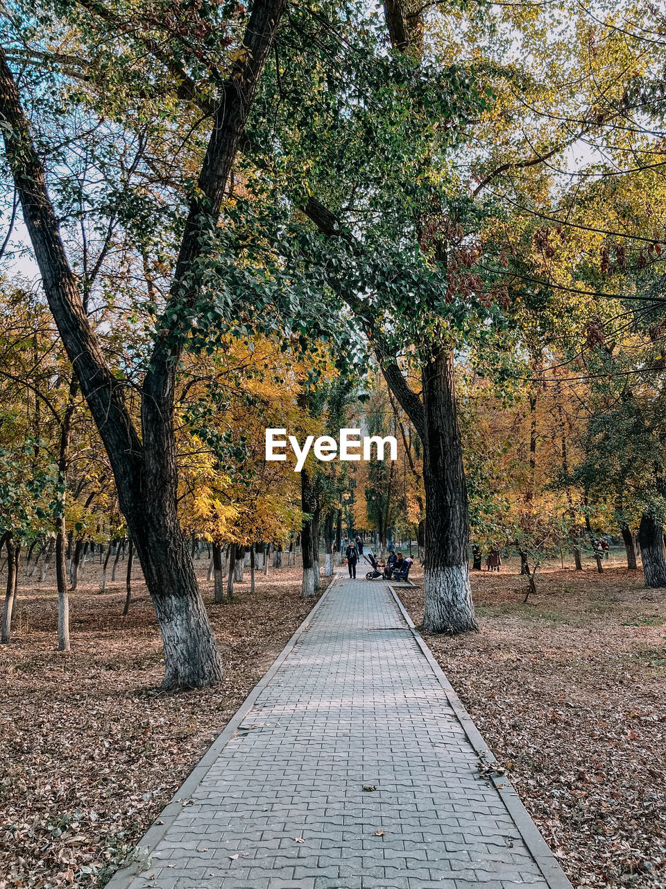 FOOTPATH BY TREES IN PARK DURING AUTUMN