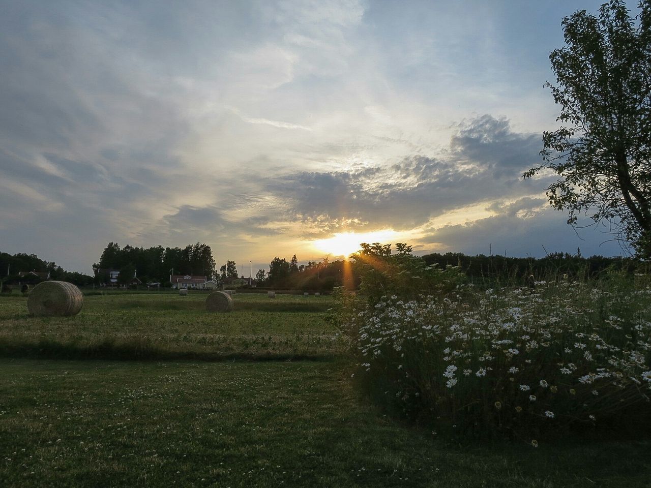 Scenic sunset over rural landscape