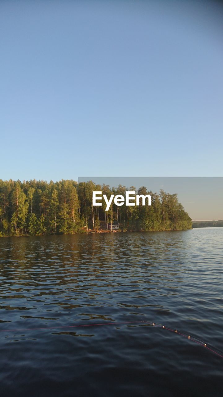 TREES BY LAKE AGAINST CLEAR SKY