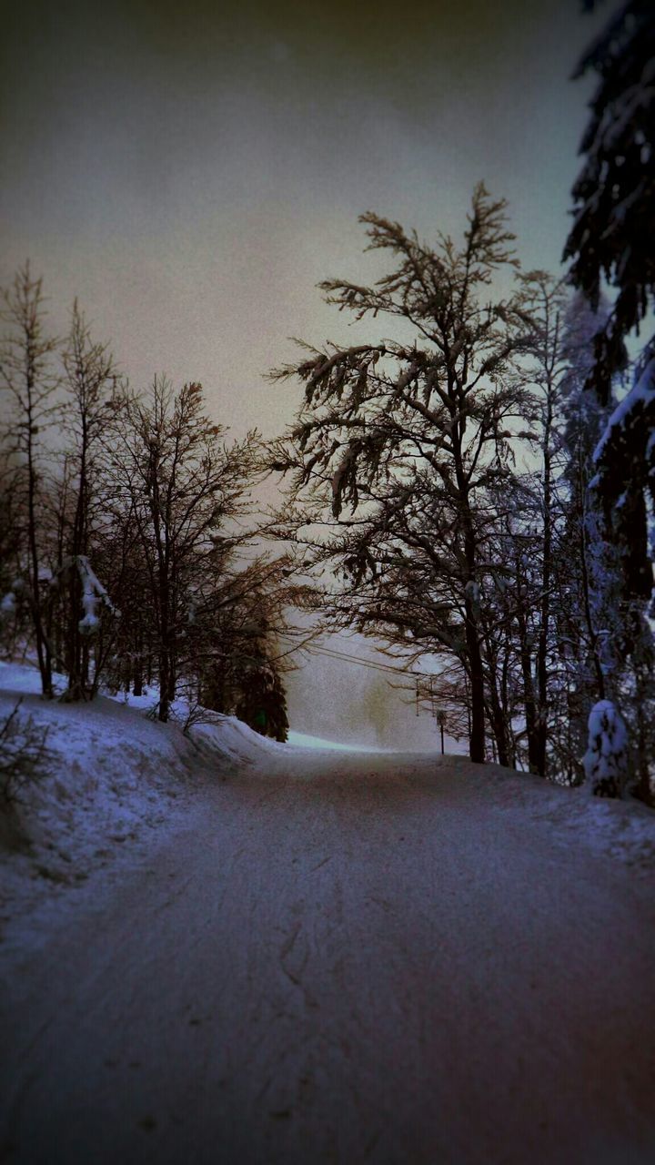 Snow covered street by trees