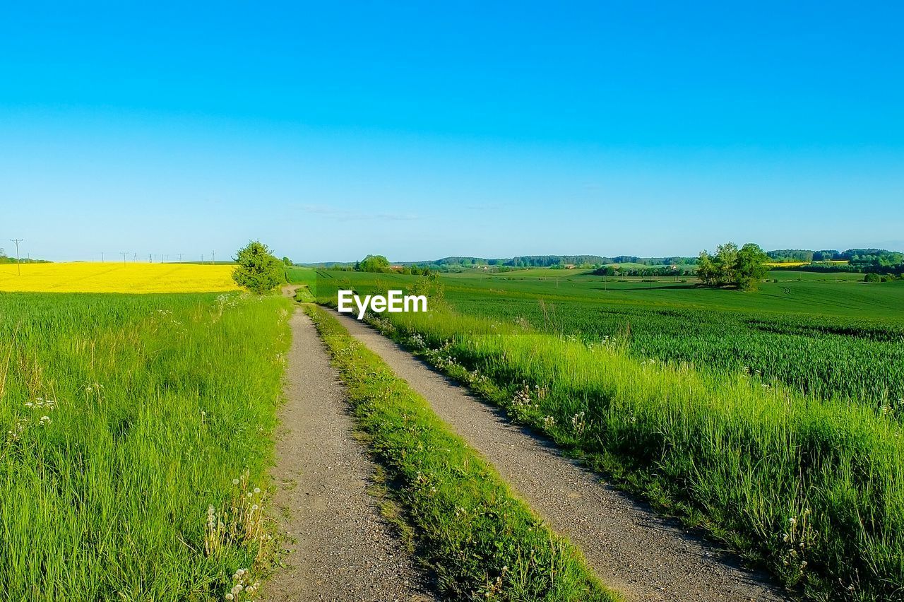 Tire tracks on agricultural field against clear blue sky