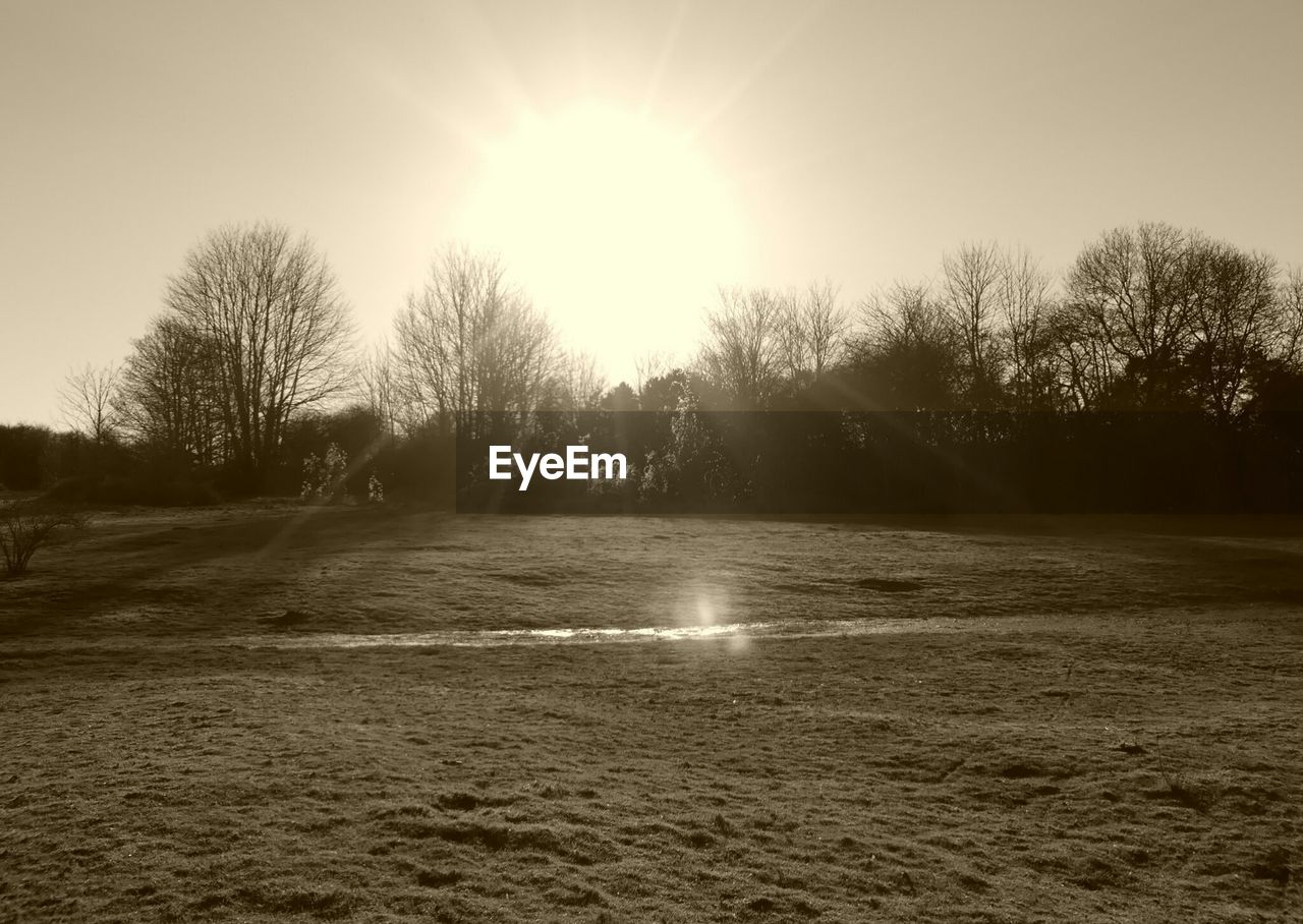 Scenic view of sun shining through trees at sunset