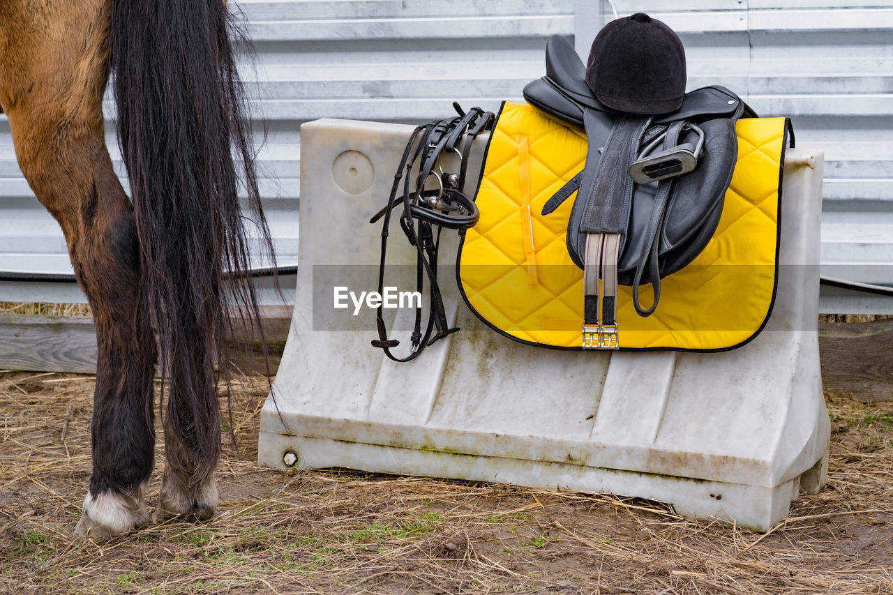 Chair to mount horse, protective helmet and other equitation