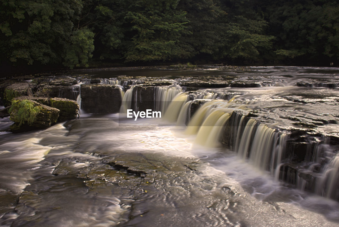 SCENIC VIEW OF WATERFALL AT FOREST