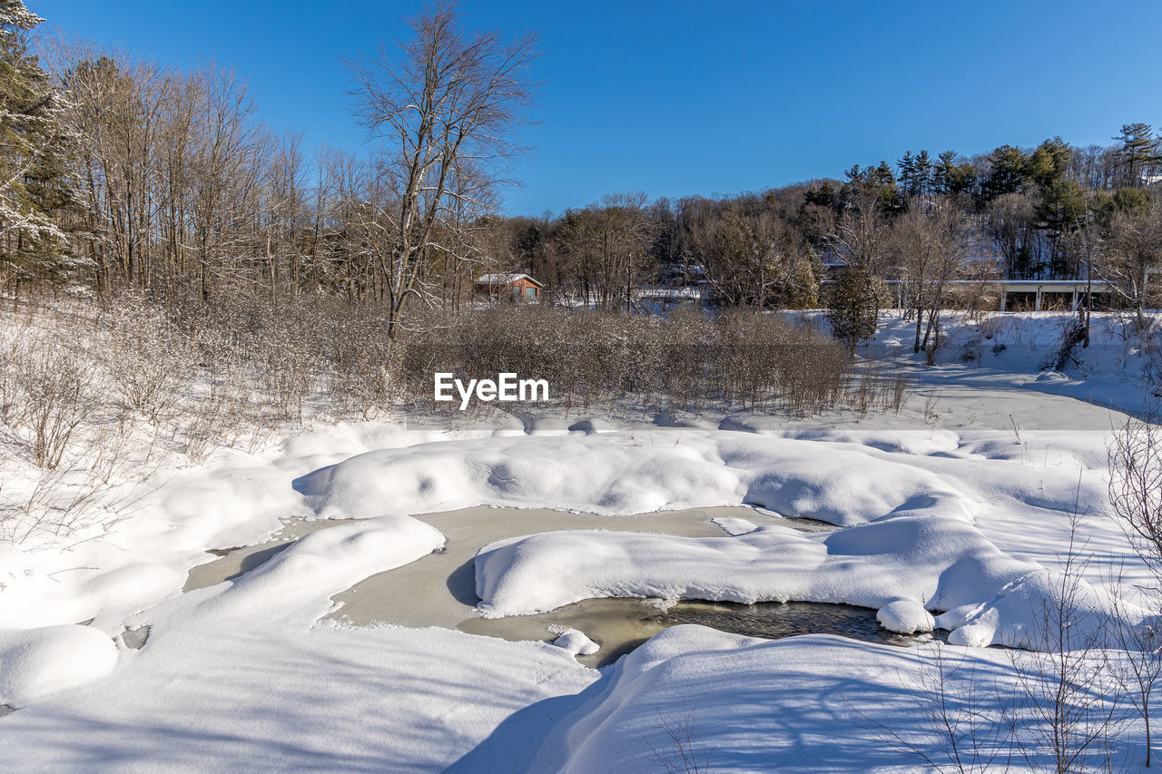 snow, winter, cold temperature, tree, nature, landscape, environment, plant, scenics - nature, beauty in nature, freezing, blue, sky, no people, white, frozen, land, day, tranquility, tranquil scene, non-urban scene, clear sky, ice, sunlight, mountain, outdoors, pinaceae, forest, travel, coniferous tree, sunny, travel destinations, pine tree