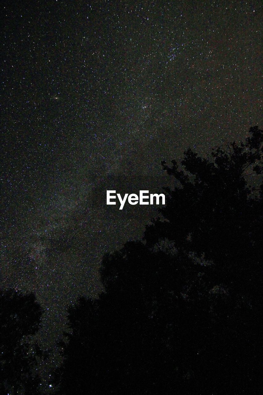 LOW ANGLE VIEW OF SILHOUETTE TREES AGAINST STAR FIELD