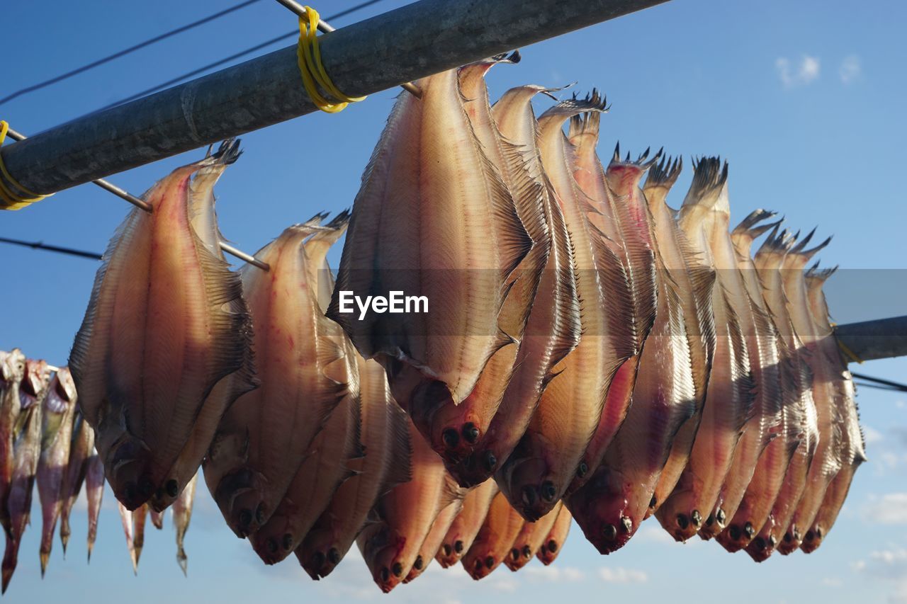 low angle view of bananas hanging against clear sky