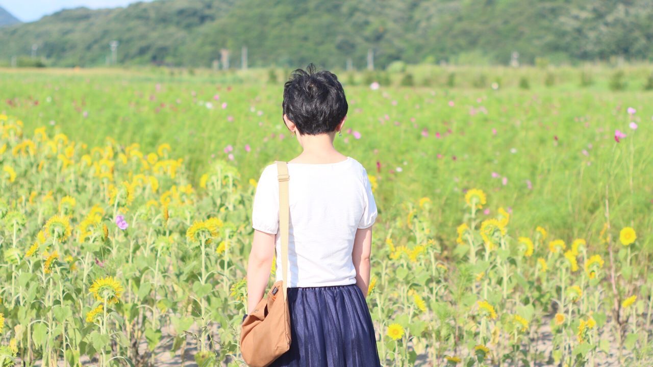Rear view of woman standing on flowering field