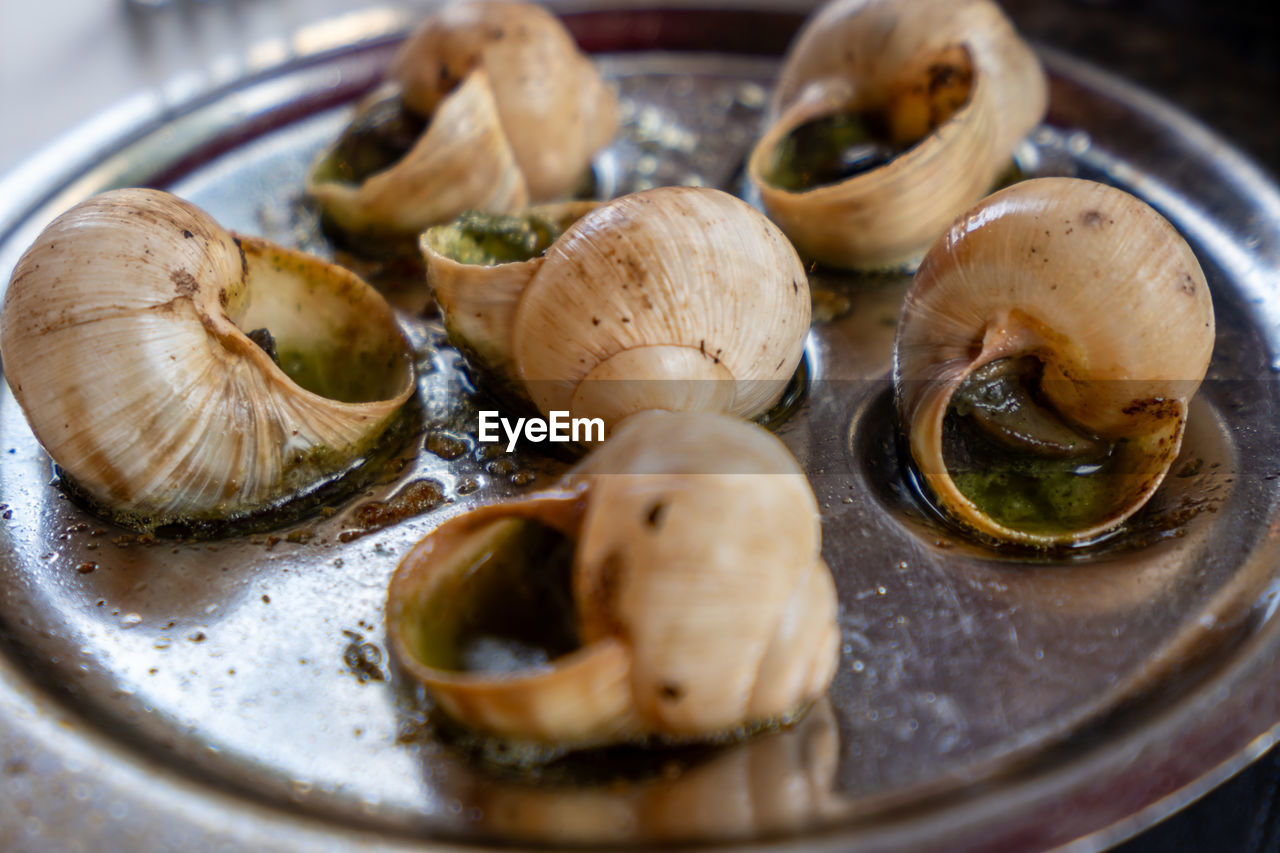 food, food and drink, healthy eating, freshness, clam, animal, wellbeing, dish, seafood, vegetable, indoors, no people, close-up, mussel, cuisine, selective focus, spice, ingredient, still life, herb, produce, snail, plate