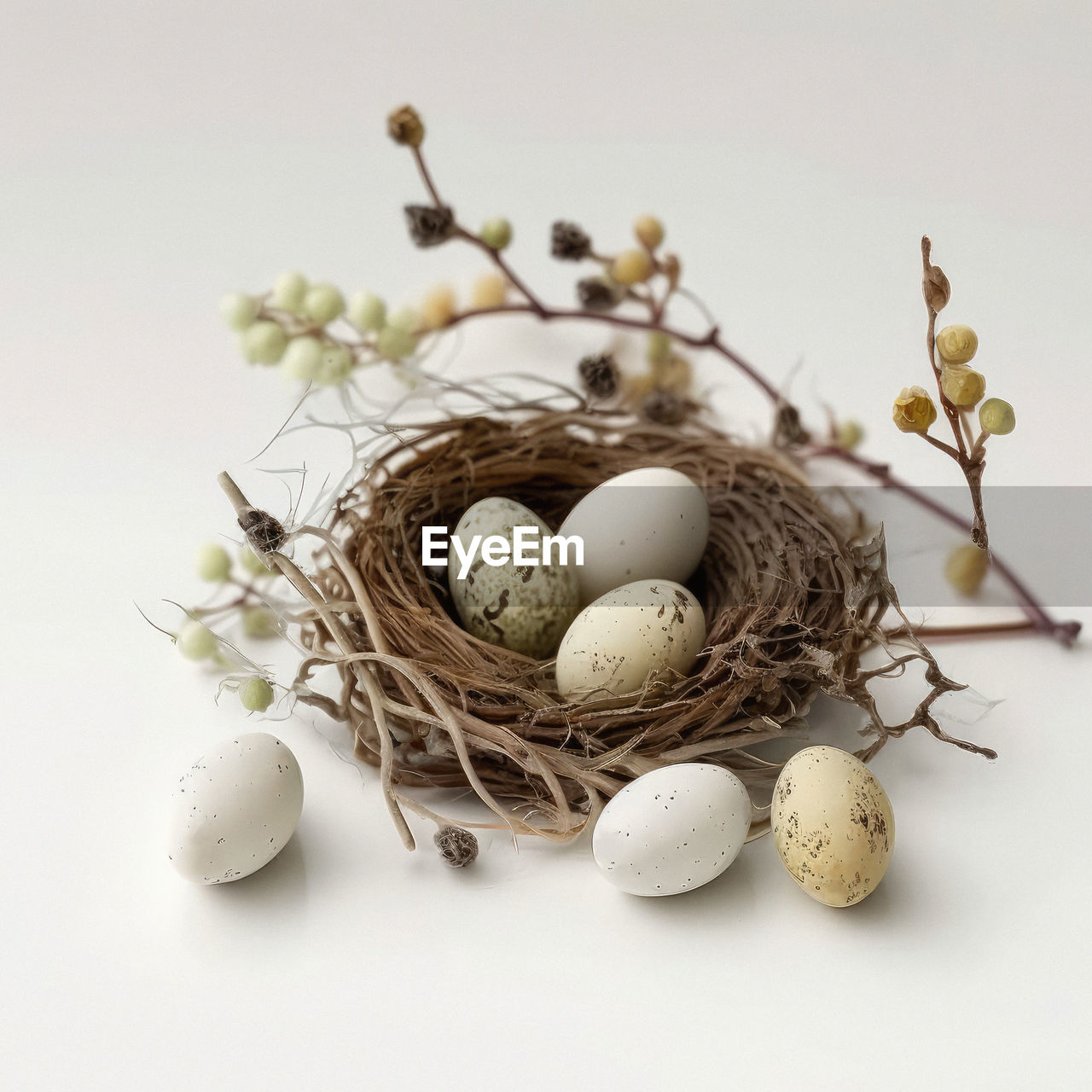 Eggs in a nest, easter eggs, nest, subdued colors, neutral white background, cozy, minimalism