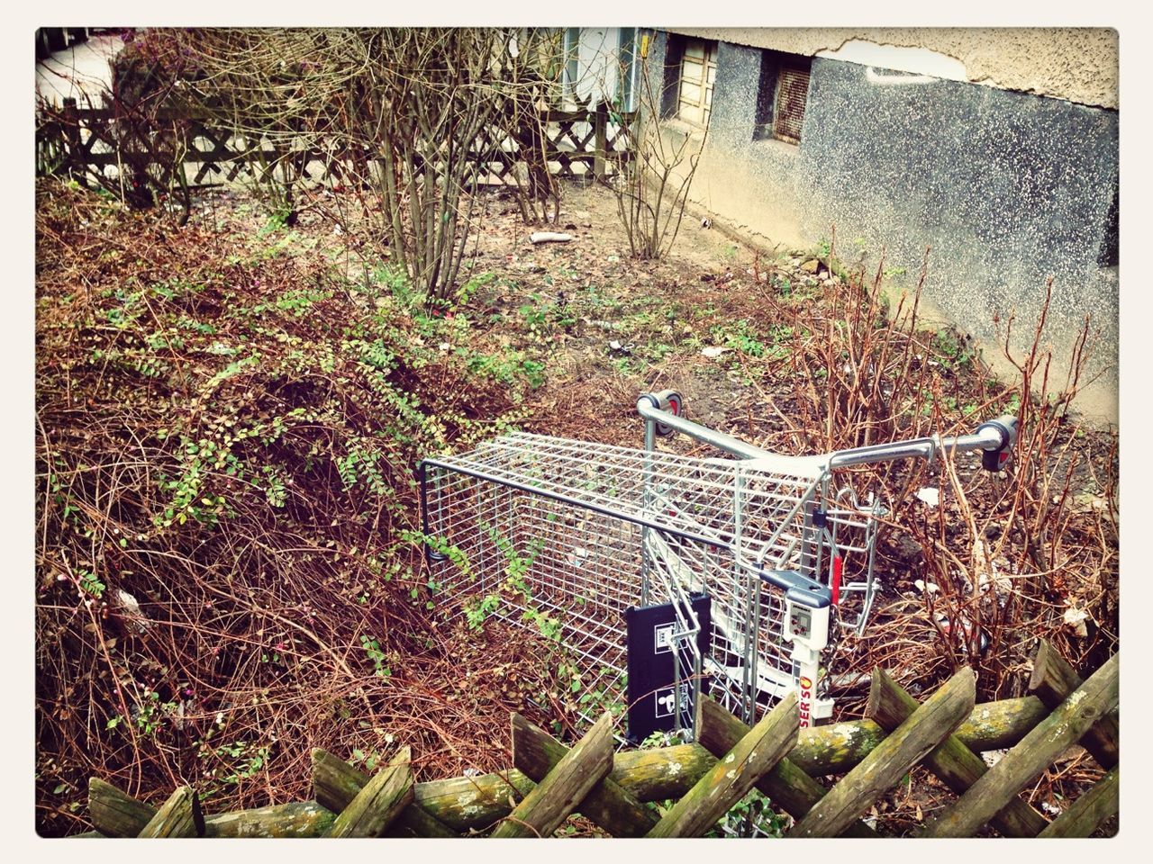 Abundant shopping cart on field