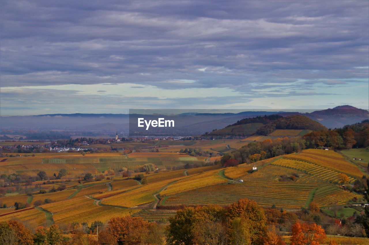 SCENIC VIEW OF FARM AGAINST SKY