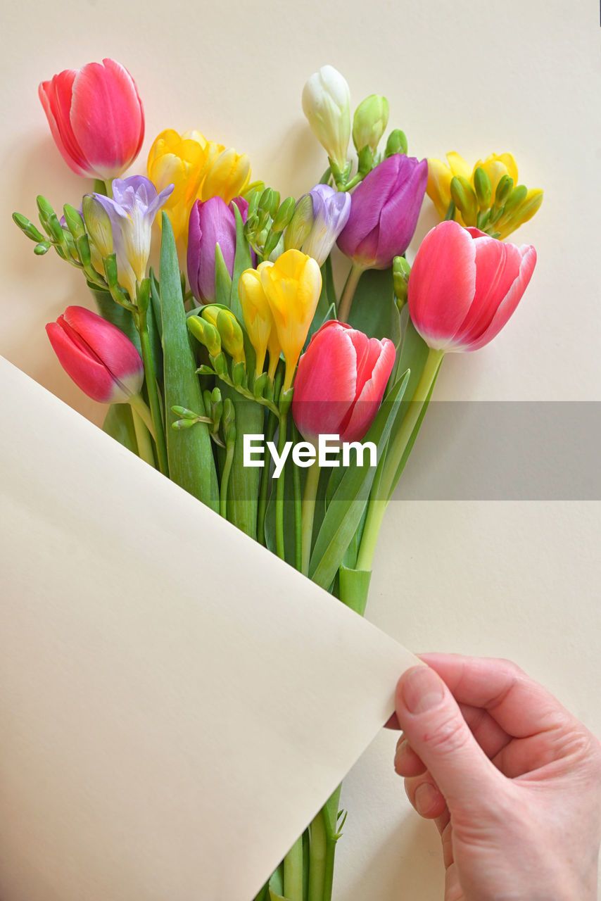 Close-up of hand holding blank paper over bouquet of tulips