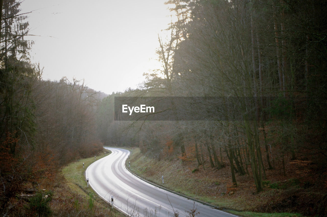 VIEW OF ROAD PASSING THROUGH FOREST