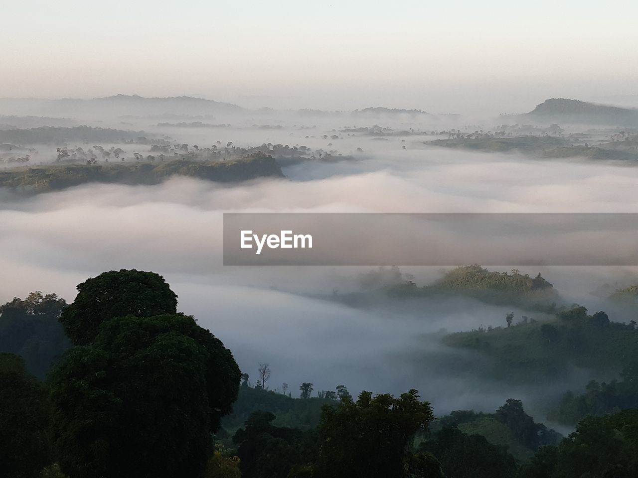 Thick clouds from the top of dense green mountains