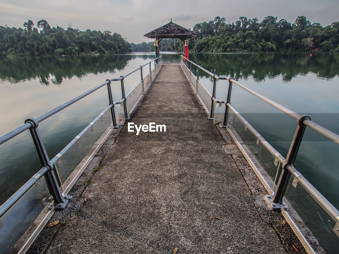 Jetty at macritchie reservoir