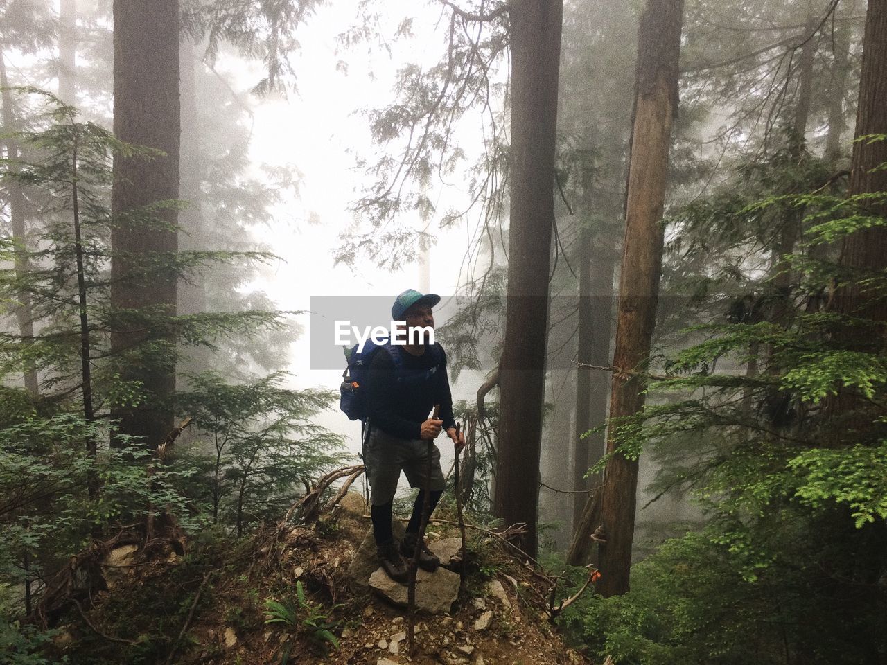 Male hiker hiking in forest during foggy weather