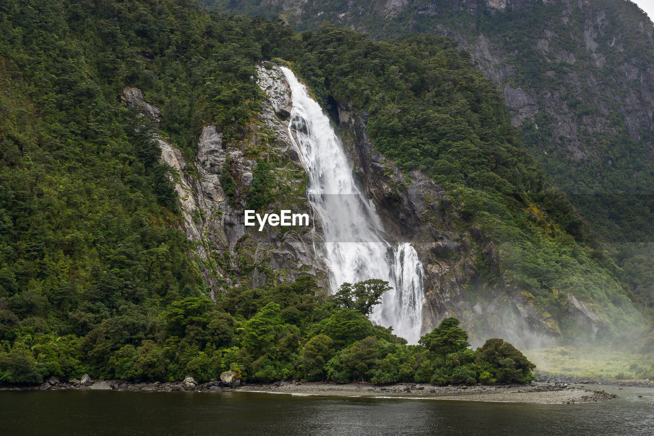 Scenic view of waterfall in forest