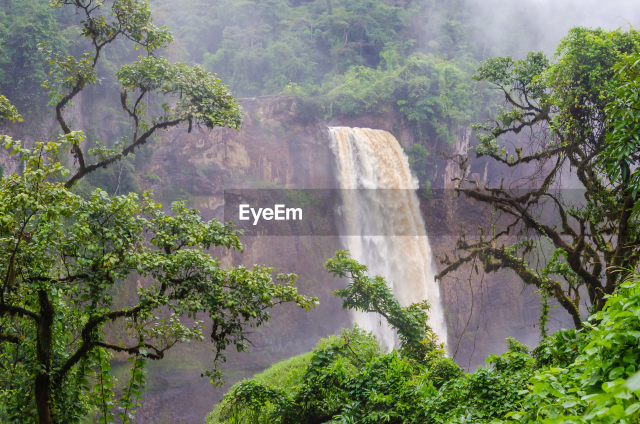 Scenic view of ekom waterfall in rainforest of cameroon, africa