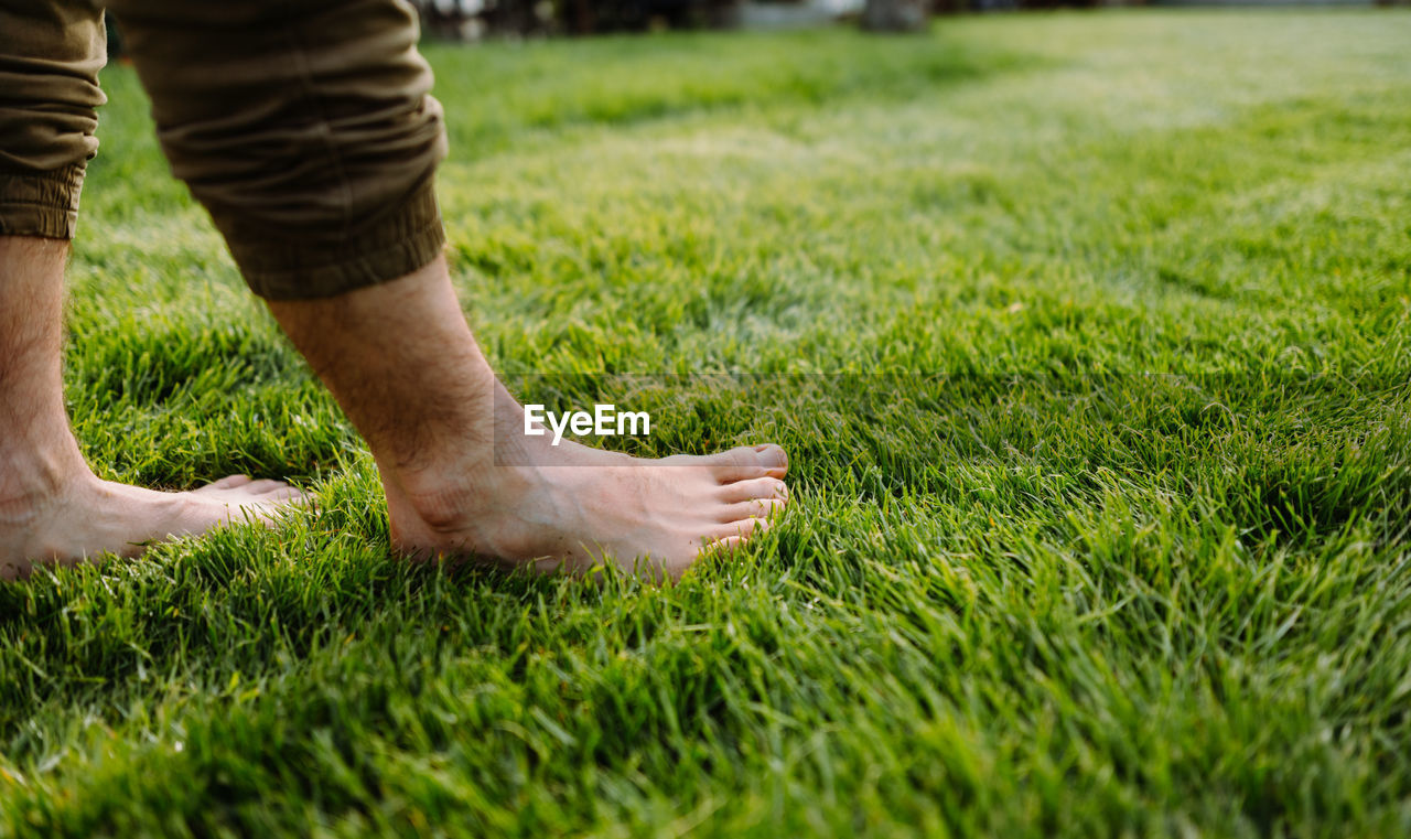Bare man's feet on the green grass. bare foot concept barefoot