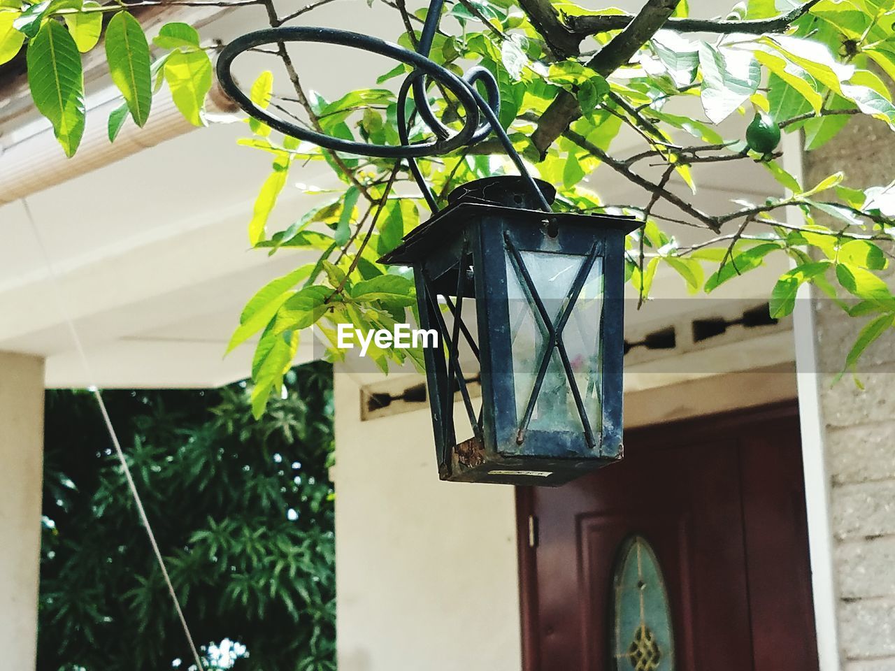 LOW ANGLE VIEW OF BUILT STRUCTURE HANGING AGAINST PLANTS