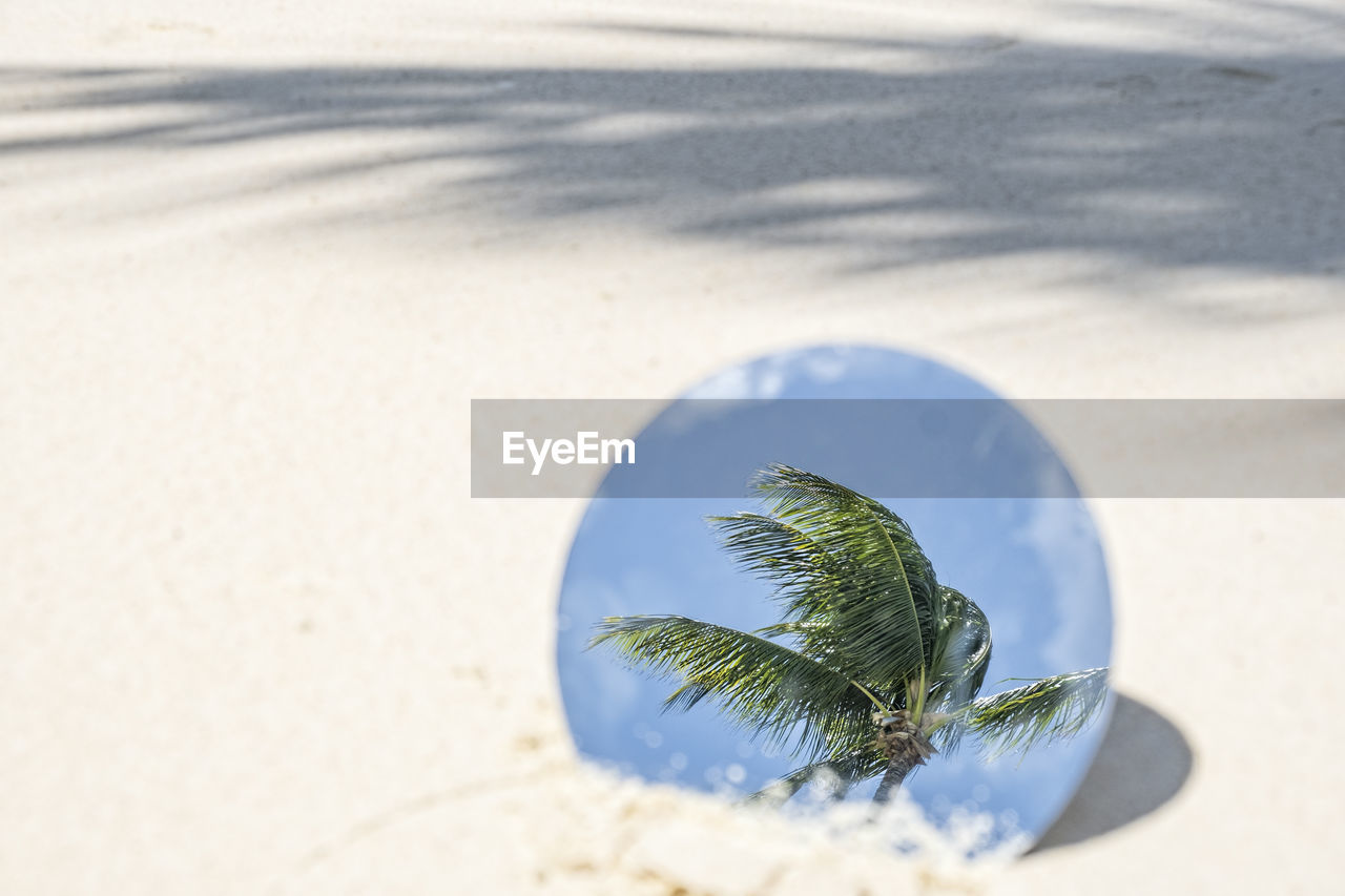 Tropical coconut palm tree reflection in round mirror in beach sand with shadows