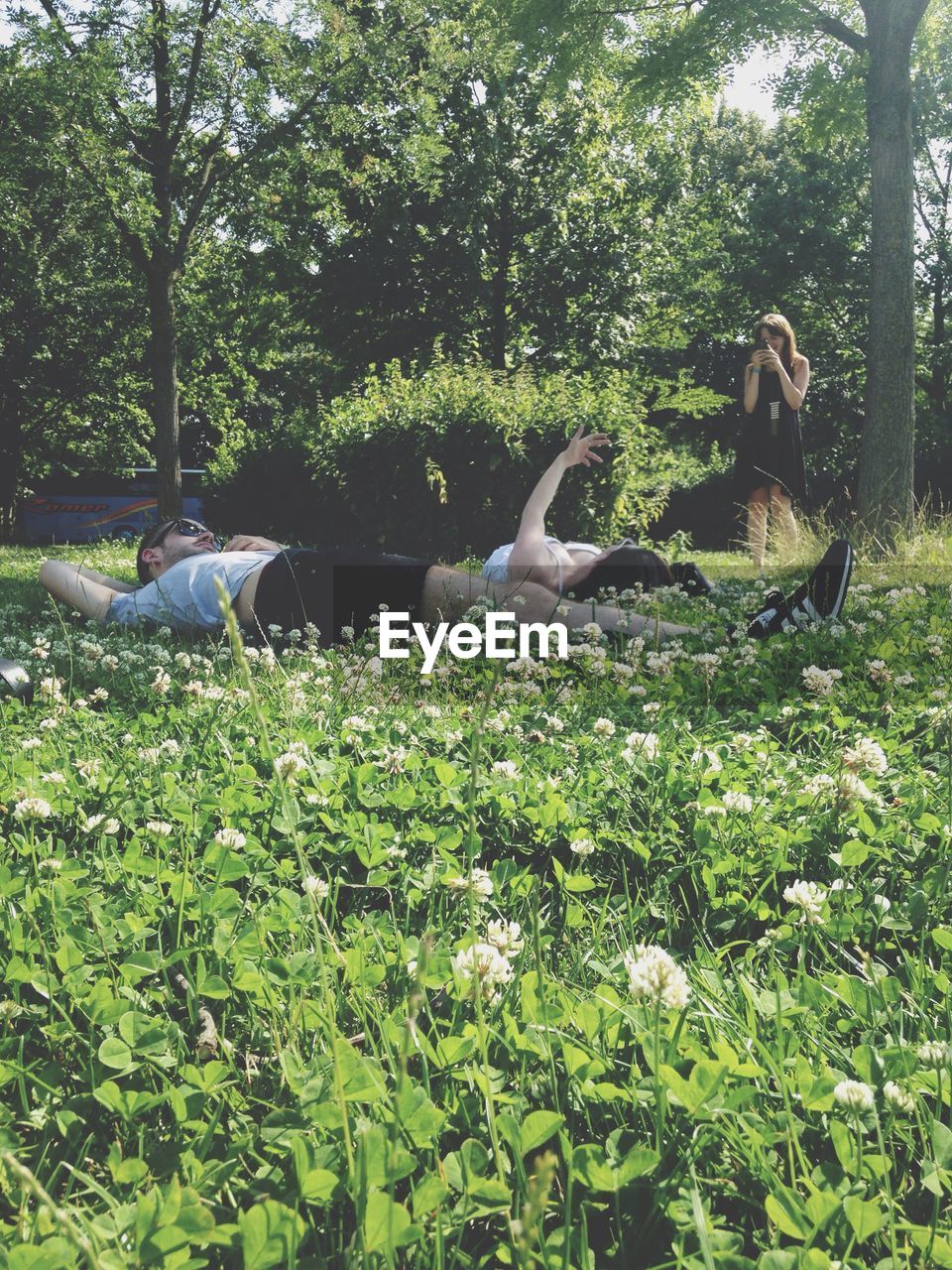 Friends relaxing on grassy field