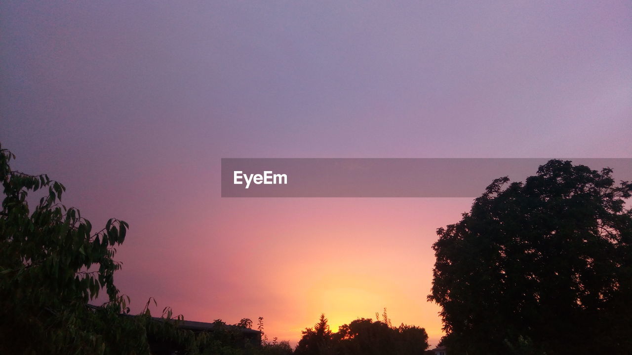 LOW ANGLE VIEW OF SILHOUETTE TREES AGAINST CLEAR SKY