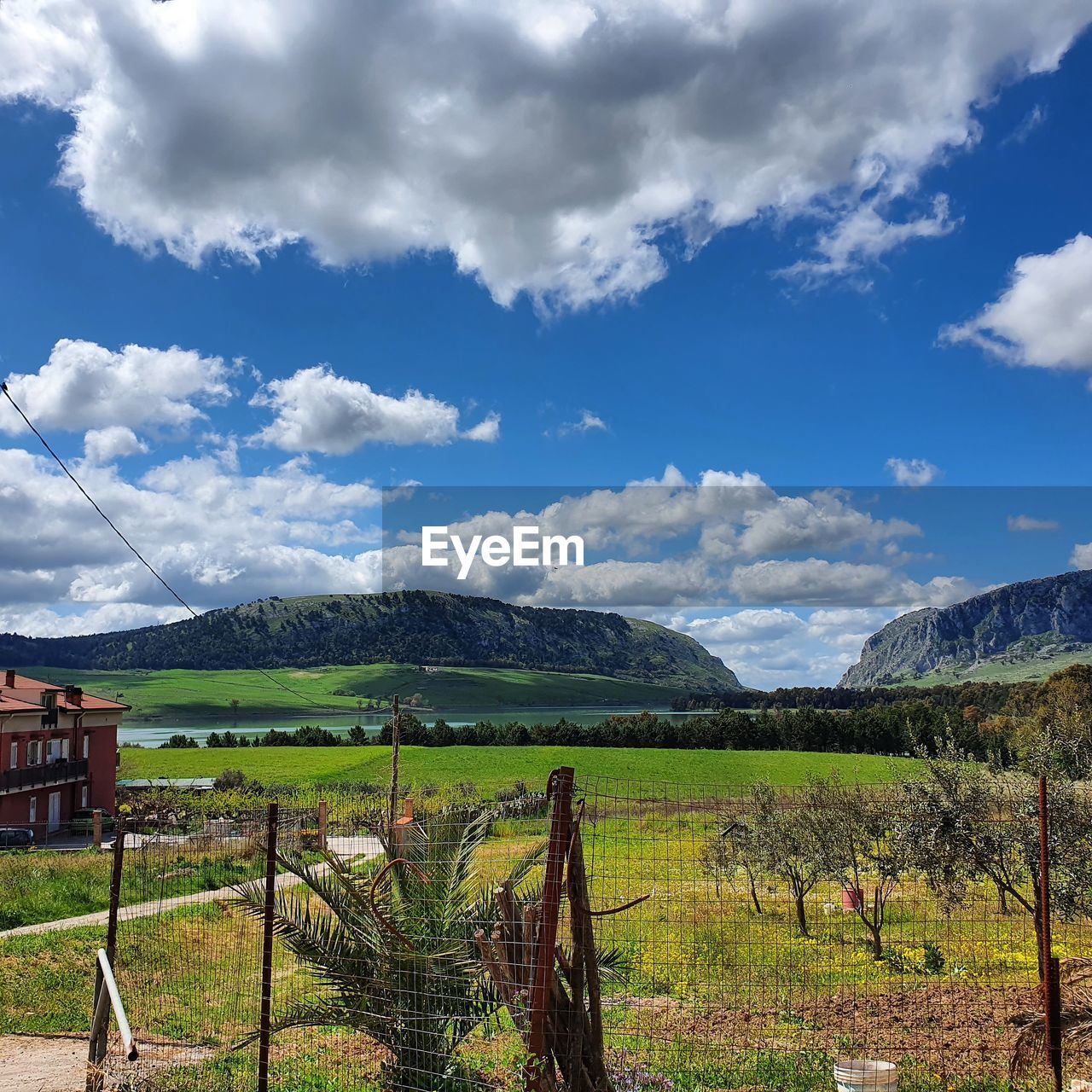 SCENIC VIEW OF RURAL LANDSCAPE